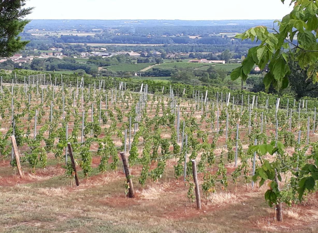 הוילה Saint-Pierre-d'Aurillac Domaine De La Belle Lurette מראה חיצוני תמונה